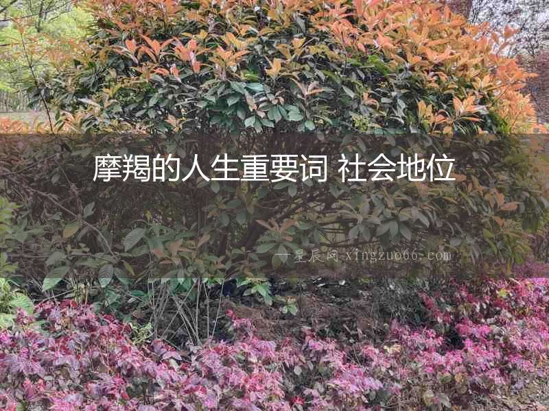 摩羯的人生重要詞 社會地位