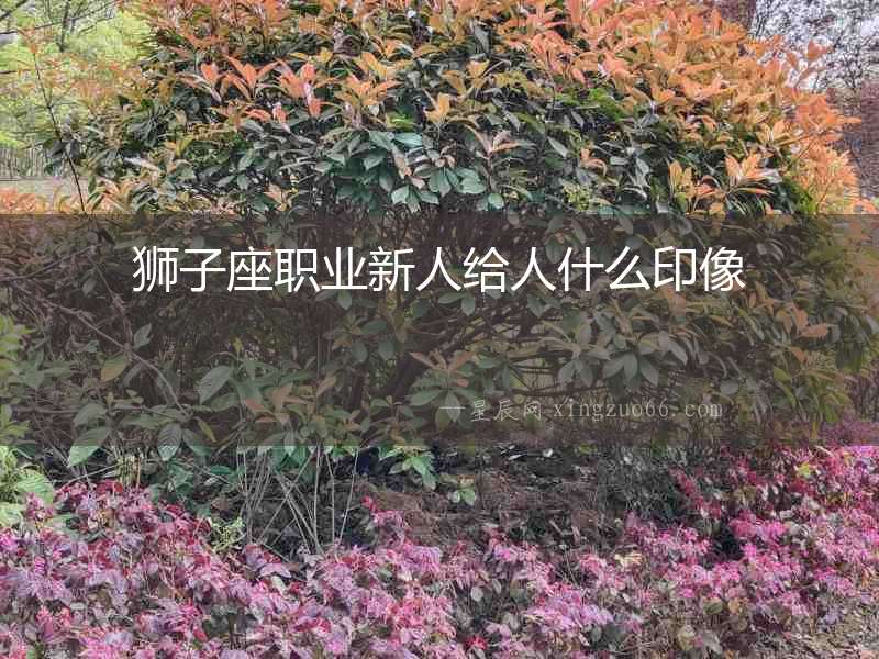 獅子座職業新人給人什么印像