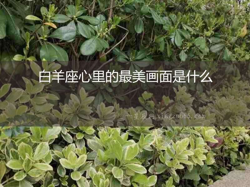 白羊座心里的最美畫面是什么