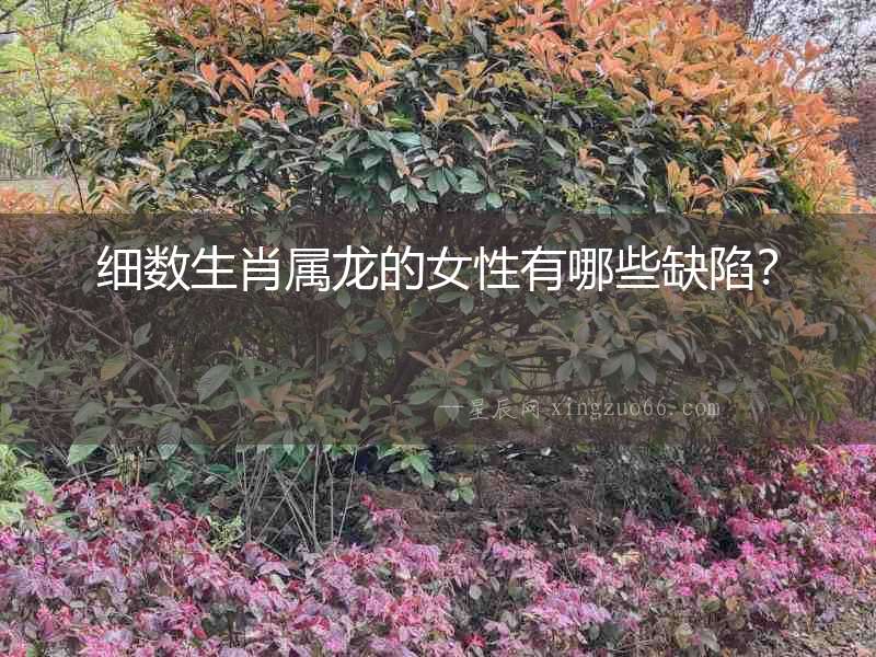 細數生肖屬龍的女性有哪些缺陷？