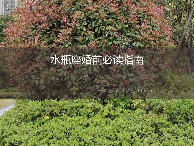 水瓶座婚前必讀指南