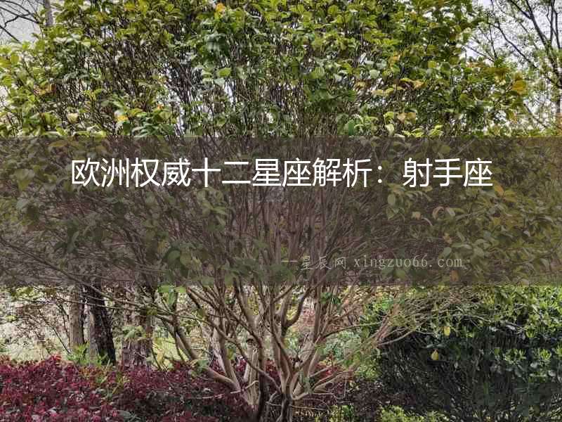 歐洲權(quán)威十二星座解析：射手座
