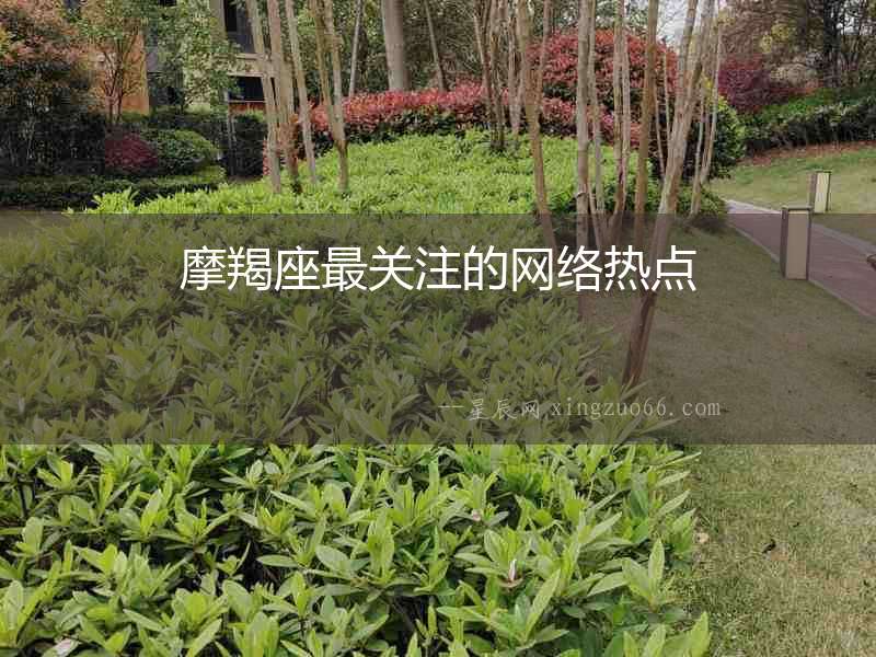 摩羯座最關注的網絡熱點