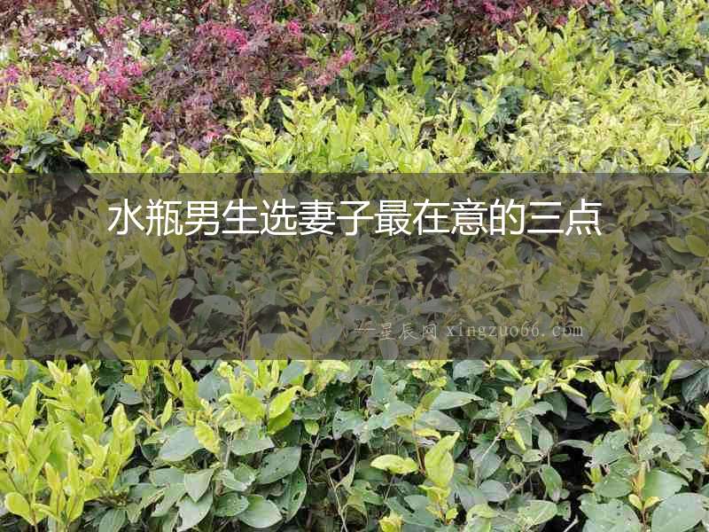 水瓶男生選妻子最在意的三點