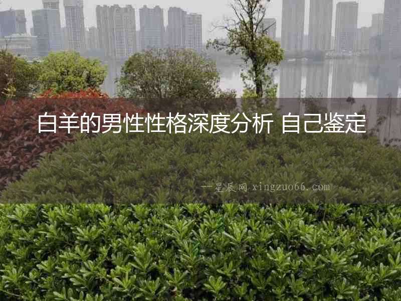 白羊的男性性格深度分析 自己鑒定