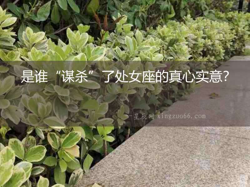 是誰“謀殺”了處女座的真心實意？