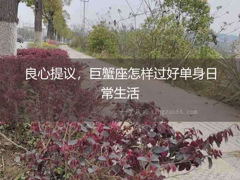 良心提議，巨蟹座怎樣過好單身日常生活