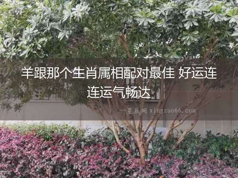 羊跟那個(gè)生肖屬相配對(duì)最佳 好運(yùn)連連運(yùn)氣暢達(dá)