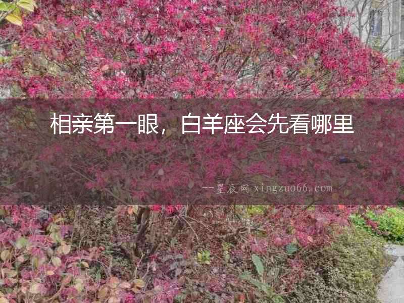 相親第一眼，白羊座會先看哪里