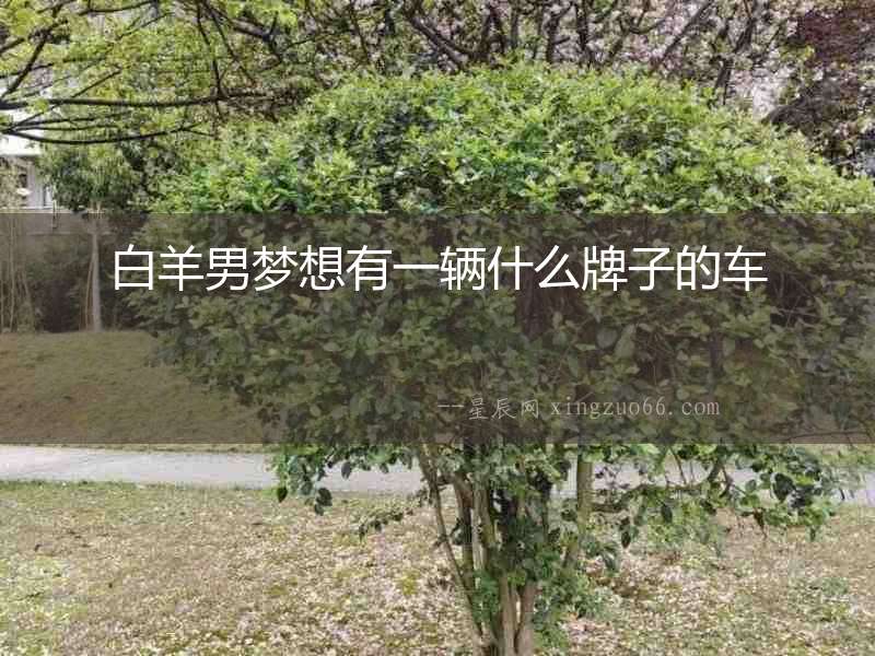 白羊男夢想有一輛什么牌子的車