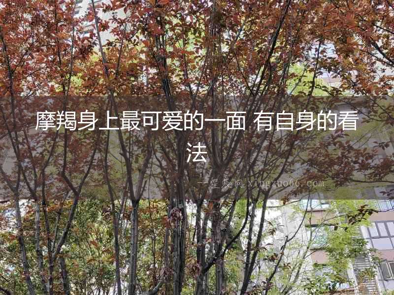 摩羯身上最可愛的一面 有自身的看法