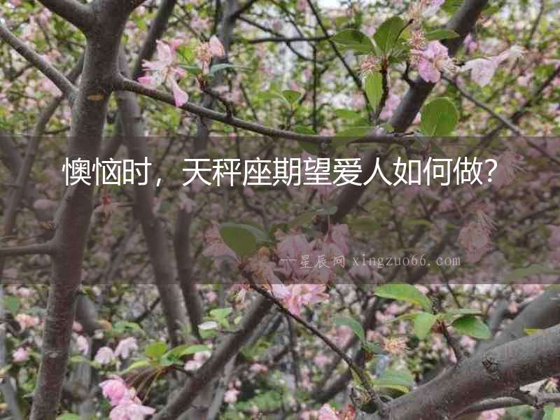 懊惱時(shí)，天秤座期望愛人如何做？