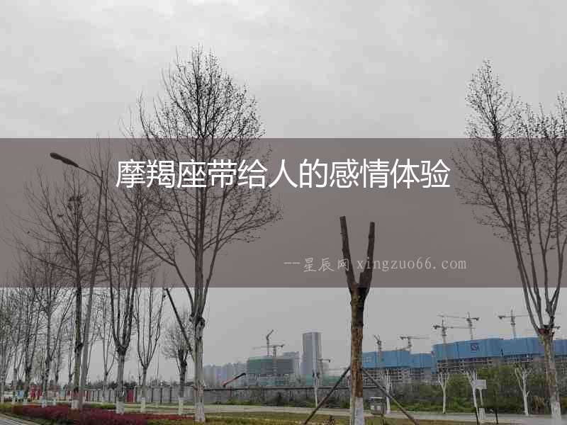 摩羯座帶給人的感情體驗