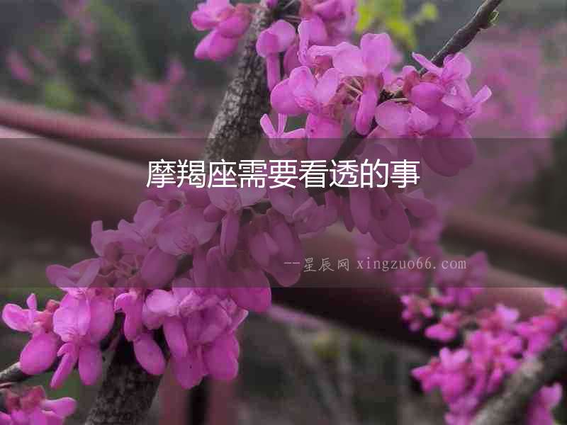 摩羯座需要看透的事