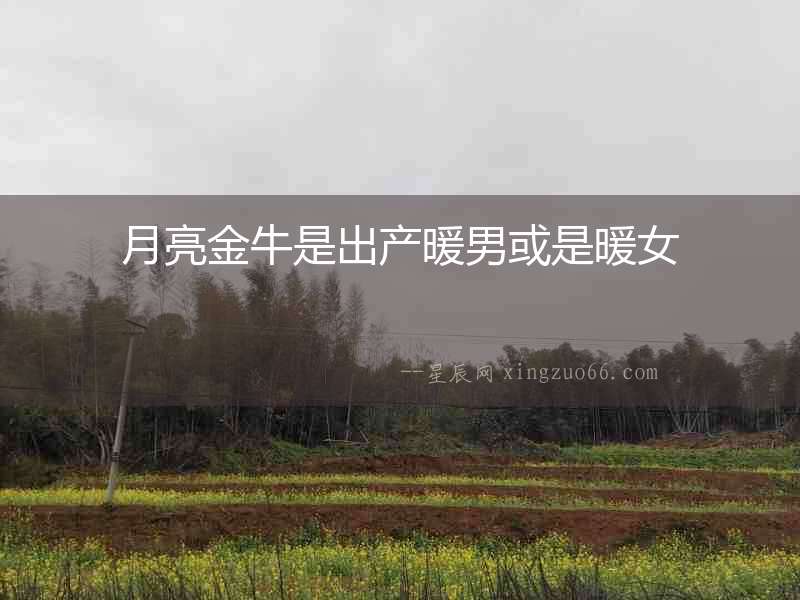 月亮金牛是出產暖男或是暖女
