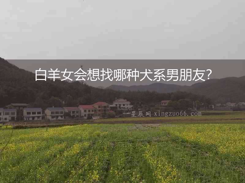 白羊女會想找哪種犬系男朋友？
