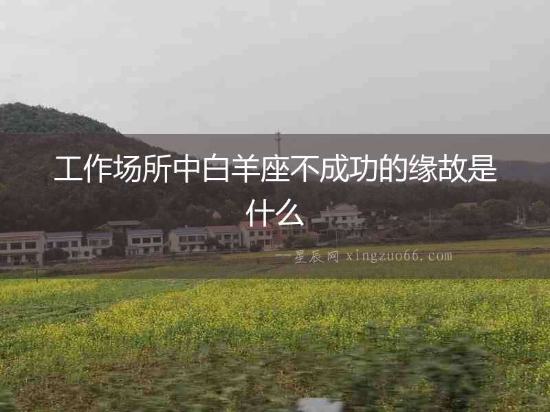 工作場所中白羊座不成功的緣故是什么