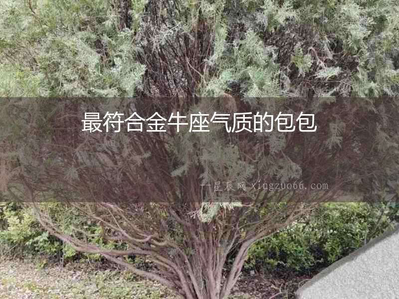 最符合金牛座氣質的包包