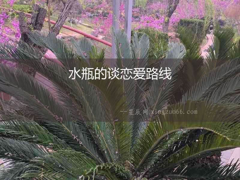 水瓶的談戀愛路線