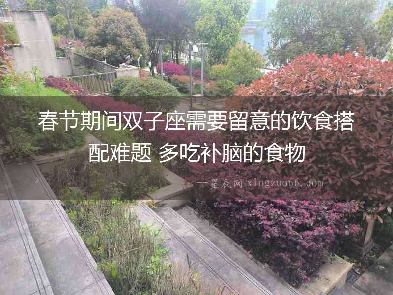 春節期間雙子座需要留意的飲食搭配難題 多吃補腦的食物