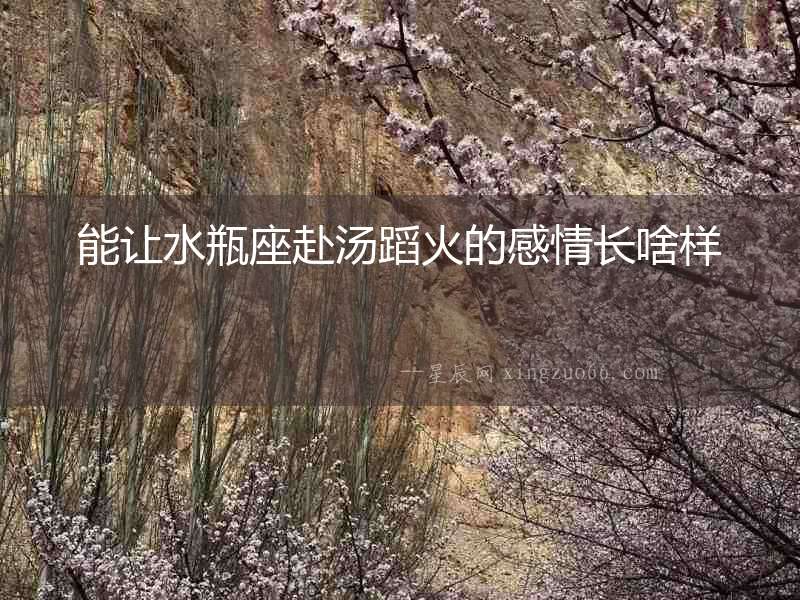 能讓水瓶座赴湯蹈火的感情長啥樣