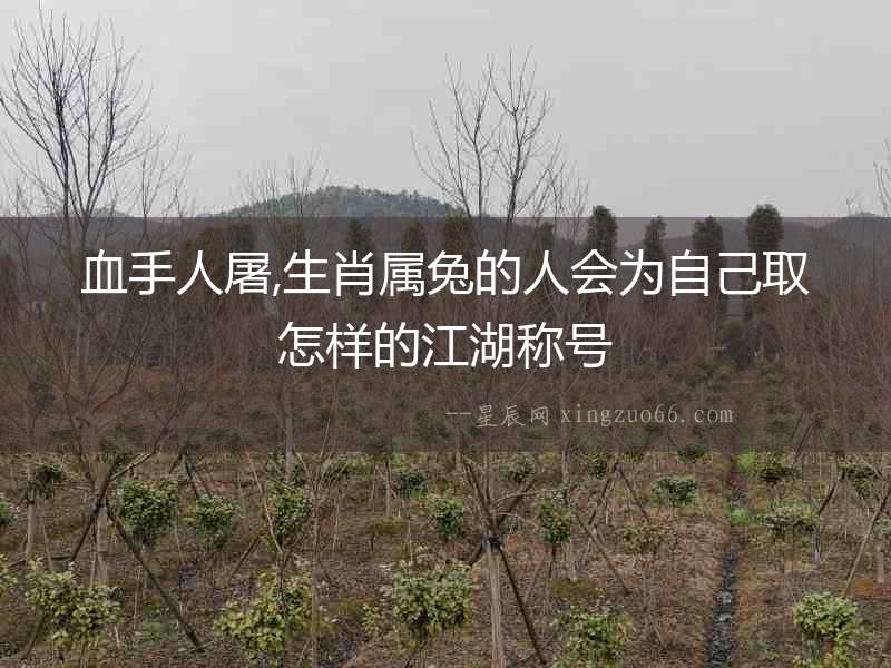 血手人屠,生肖屬兔的人會為自己取怎樣的江湖稱號