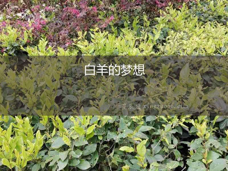白羊的夢想