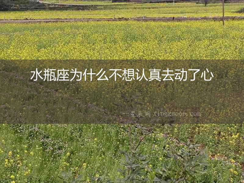 水瓶座為什么不想認(rèn)真去動(dòng)了心