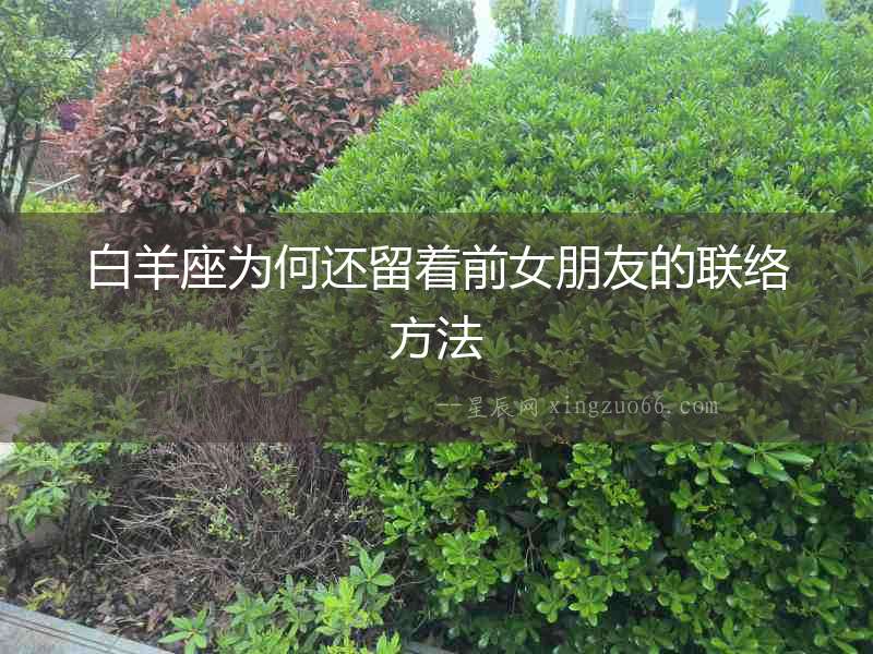 白羊座為何還留著前女朋友的聯絡方法