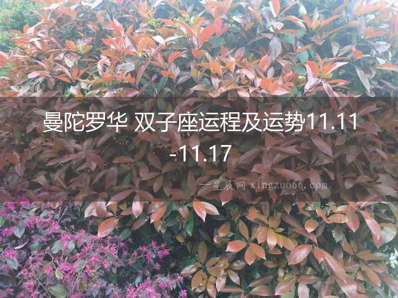曼陀羅華 雙子座運程及運勢11.11-11.17