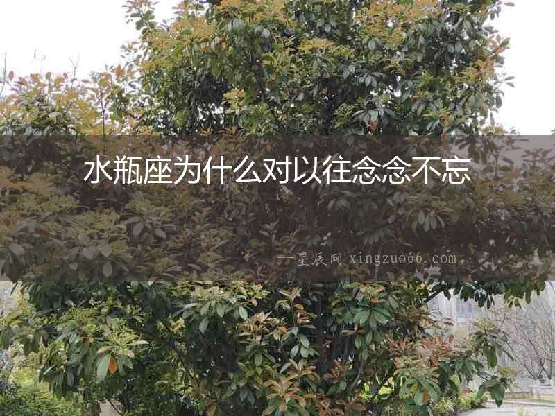 水瓶座為什么對(duì)以往念念不忘