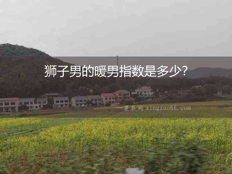 獅子男的暖男指數(shù)是多少？