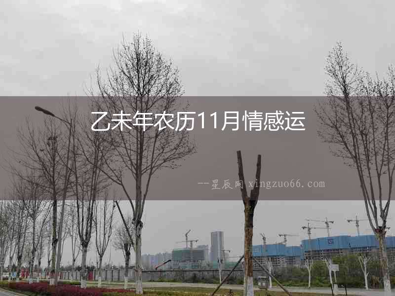 乙未年農歷11月情感運