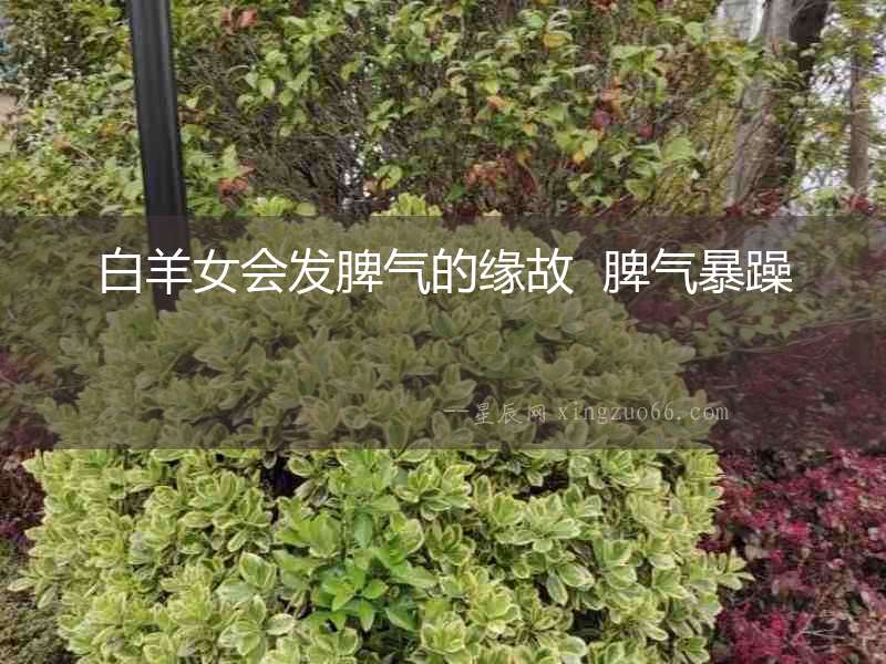 白羊女會發脾氣的緣故  脾氣暴躁