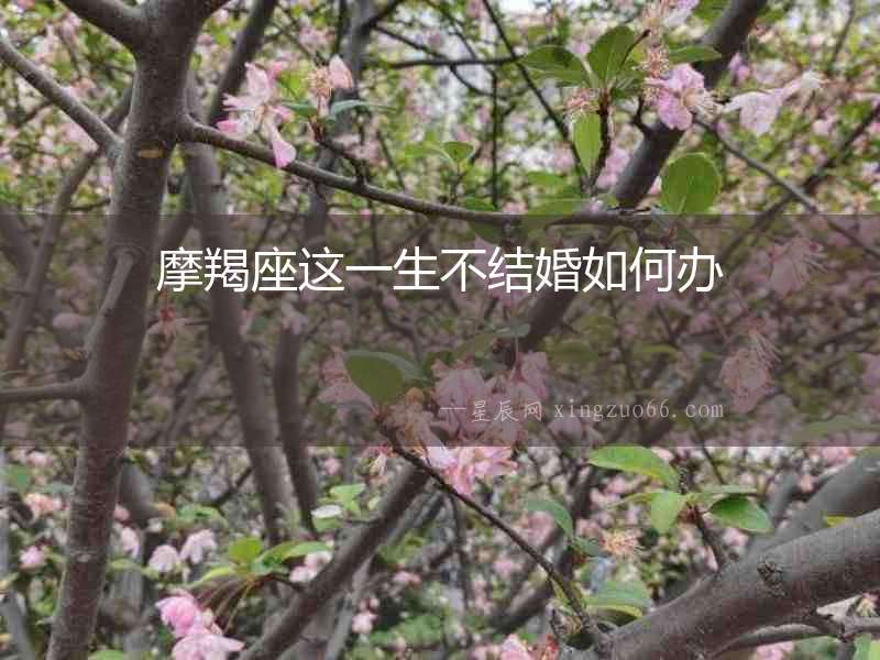 摩羯座這一生不結婚如何辦