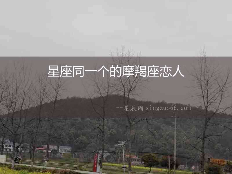 星座同一個的摩羯座戀人