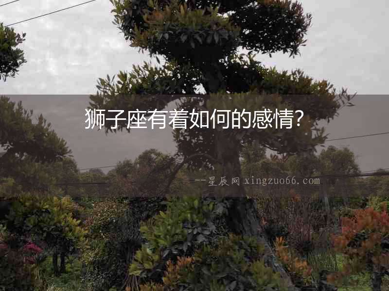 獅子座有著如何的感情？