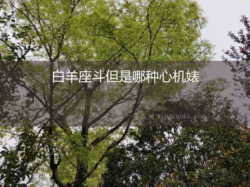 白羊座斗但是哪種心機(jī)婊