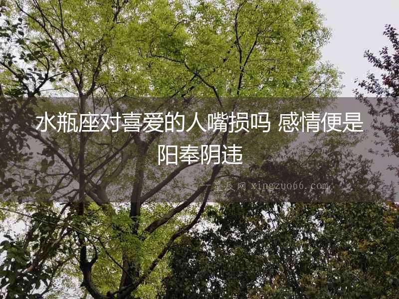 水瓶座對喜愛的人嘴損嗎 感情便是陽奉陰違