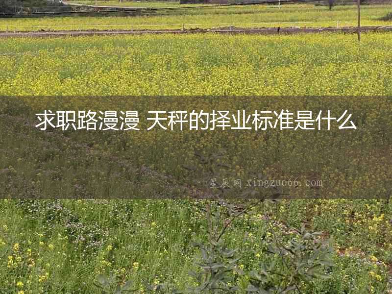 求職路漫漫 天秤的擇業(yè)標準是什么