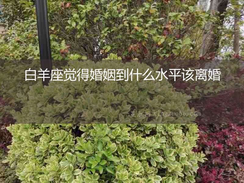 白羊座覺得婚姻到什么水平該離婚