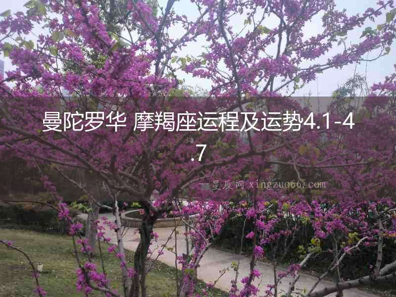 曼陀羅華 摩羯座運程及運勢4.1-4.7