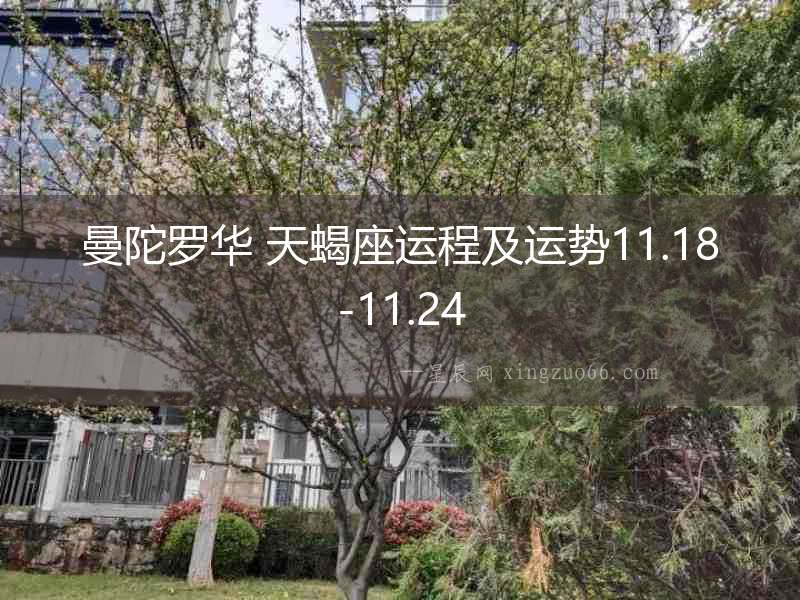 曼陀羅華 天蝎座運程及運勢11.18-11.24