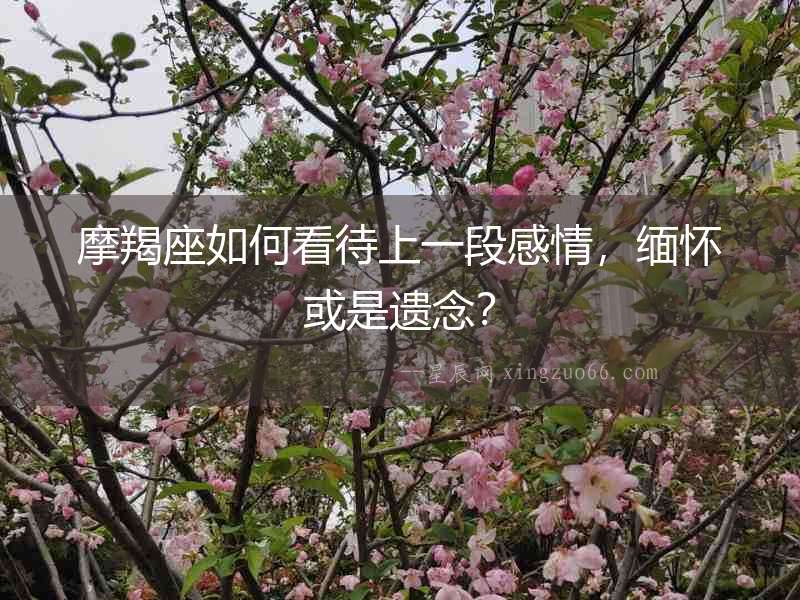 摩羯座如何看待上一段感情，緬懷或是遺念？