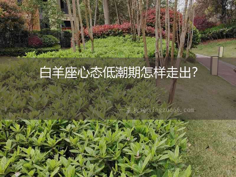 白羊座心態(tài)低潮期怎樣走出？