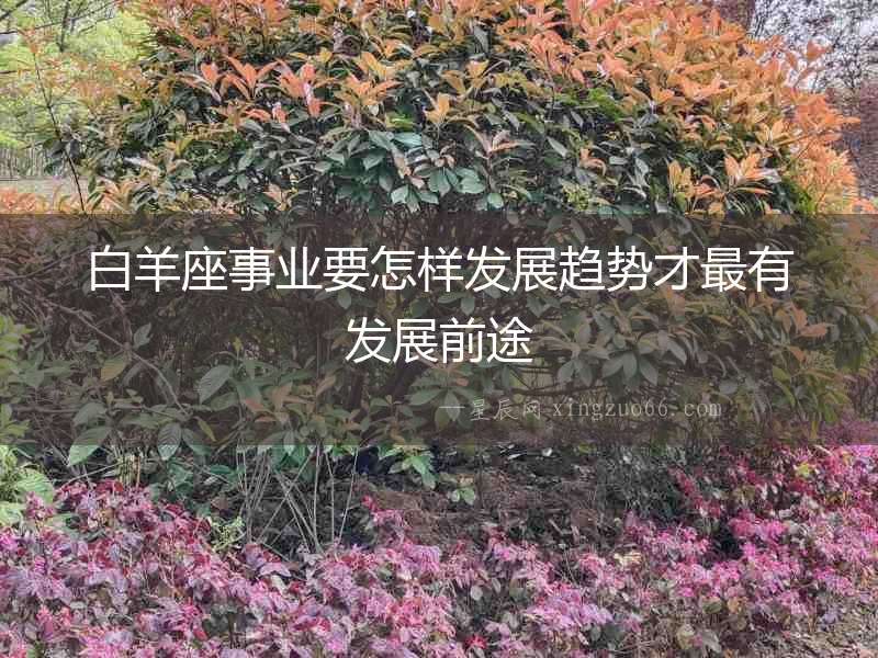 白羊座事業要怎樣發展趨勢才最有發展前途