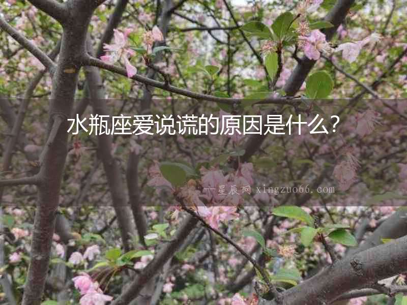 水瓶座愛(ài)說(shuō)謊的原因是什么？