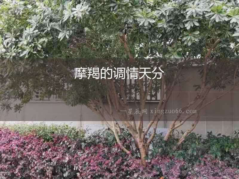 摩羯的調(diào)情天分
