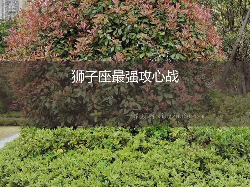 獅子座最強(qiáng)攻心戰(zhàn)