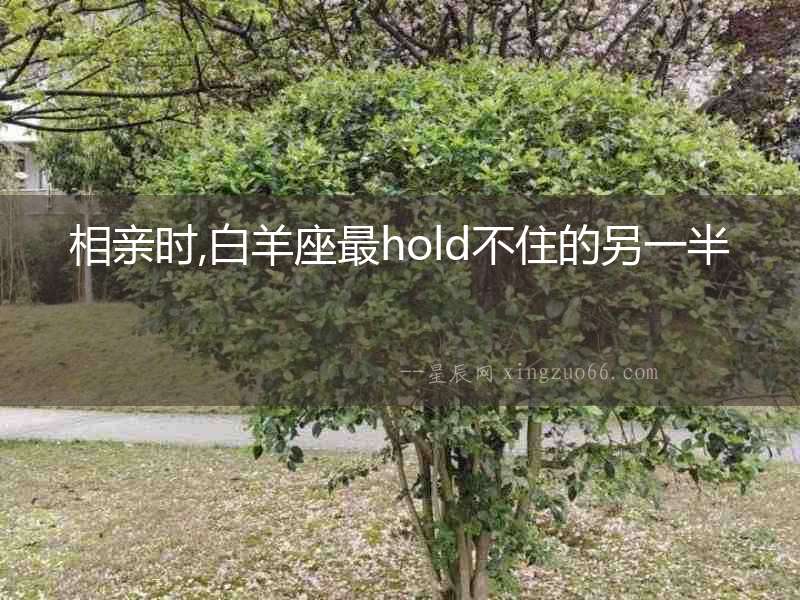 相親時,白羊座最hold不住的另一半